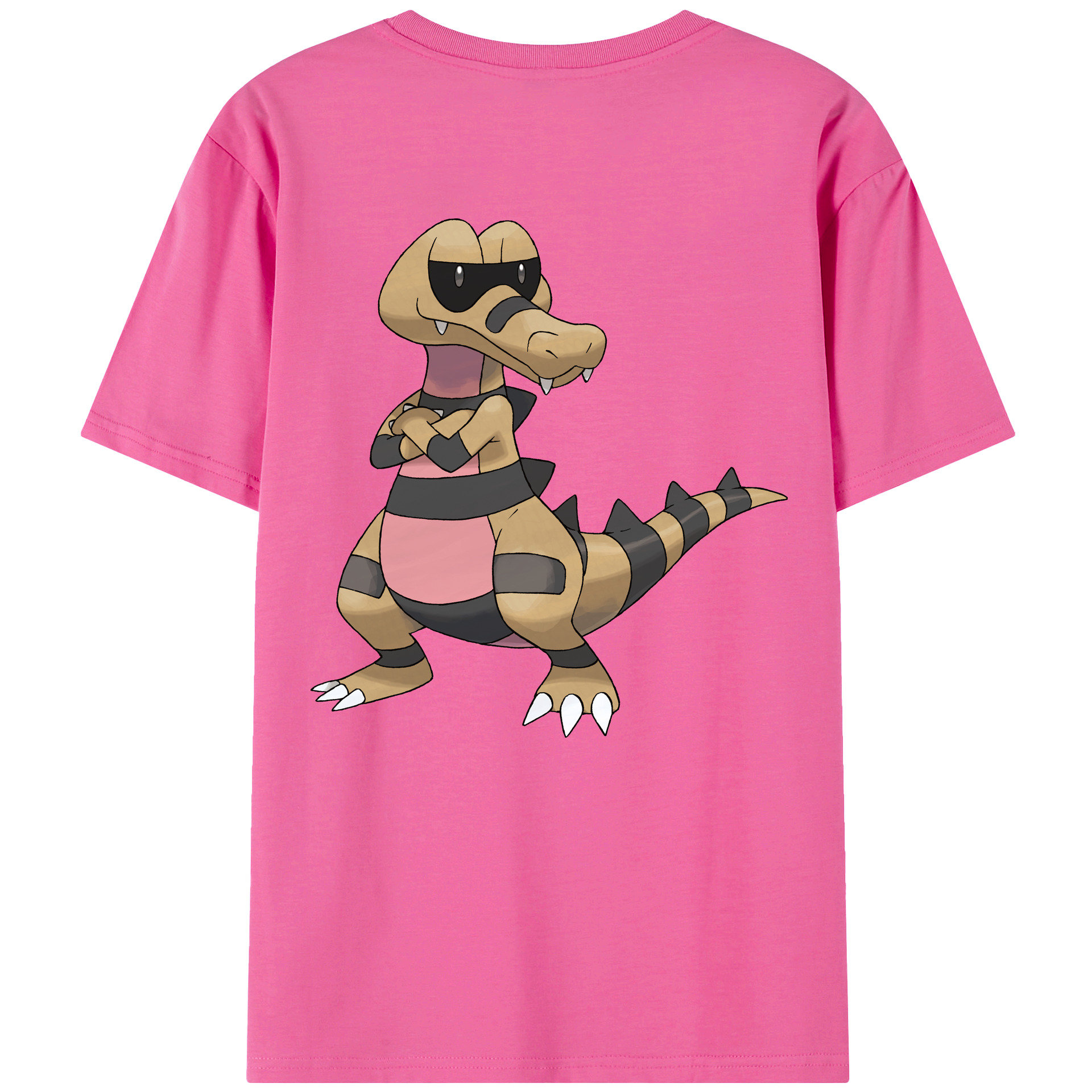 （画像用） ポケットモンスター Pokémon レディース半袖Tシャツ(バックプリント)